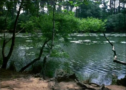 09A Il lago di The Sound Of Silence.jpg
