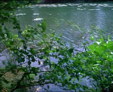 12A Particolare del lago di The Sound Of Silence.jpg