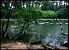 09A Il lago di The Sound Of Silence.jpg