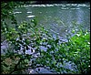 12A Particolare del lago di The Sound Of Silence.jpg