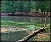 13A Dalla sponda opposta del lago di The Sound Of Silence.jpg