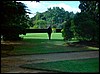 21A Il giardino di piante ornamentali in Psychobombs e Mindb.jpg
